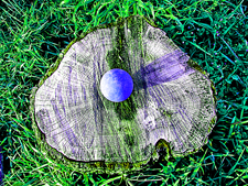 ball on stump - go figger