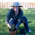 Garden Wench II