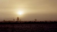 Sunrise and Fog